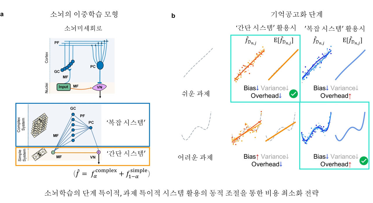 2. 연구 모식도