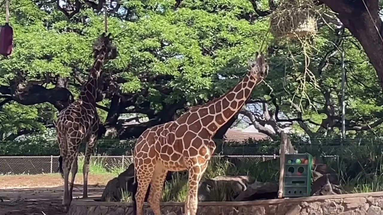 [24-1 Gachon Got Globalized #18] 김지수, 장지혜 학생  대표이미지