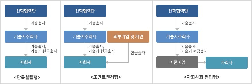 자회사설립유형